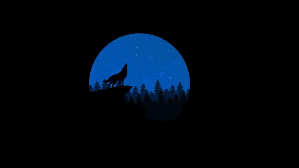 wolf, howling, night_picfixs