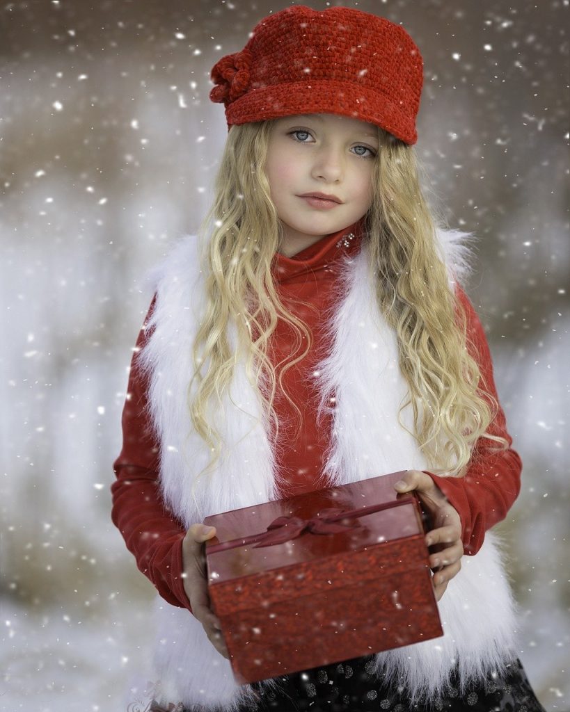 winter wonderland, red, snow-1082511.jpg