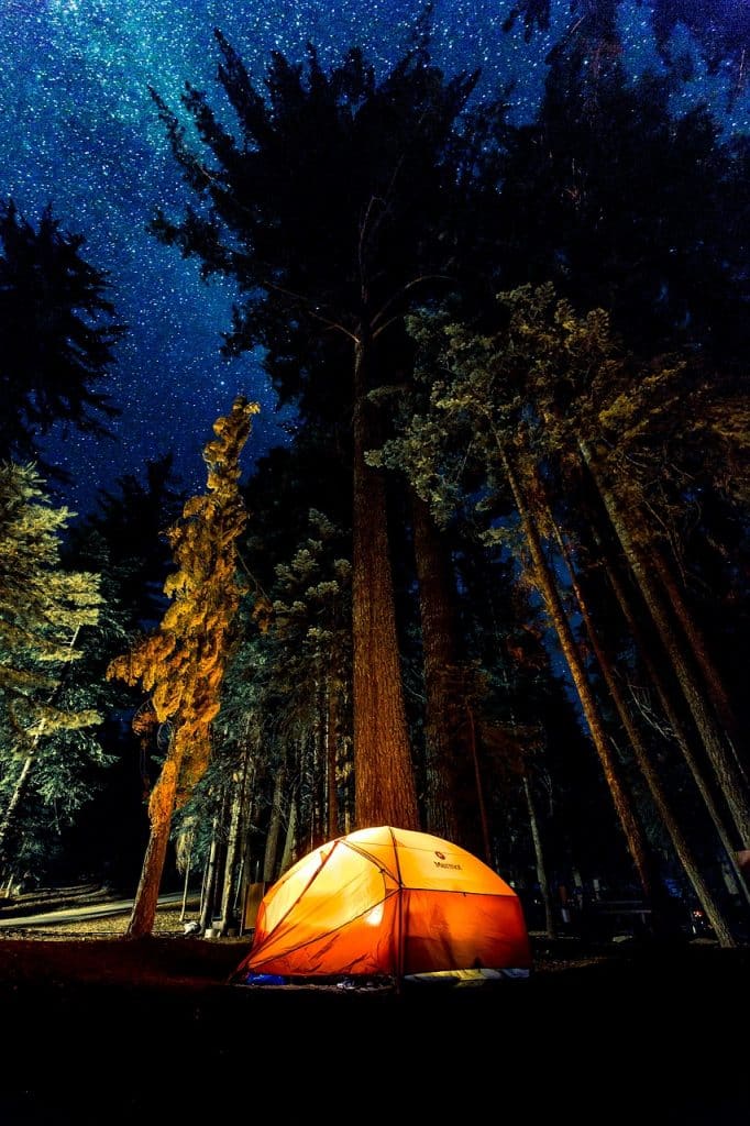camping, dark, forest-1850107.jpg