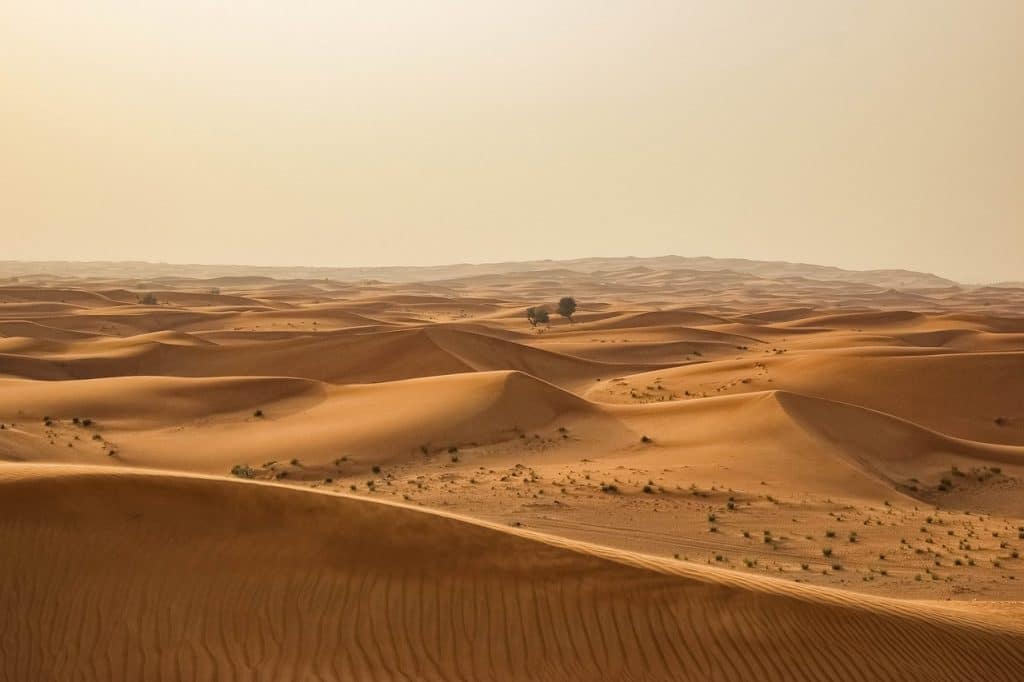 desert, sand, dry-1246282.jpg