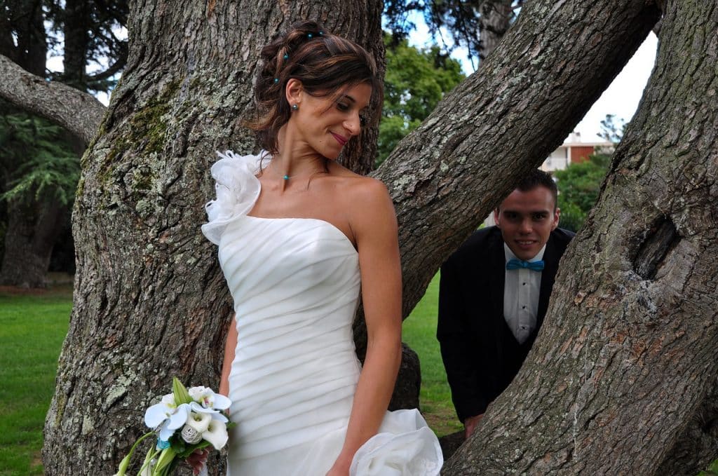 bride and groom, free, white-974845.jpg