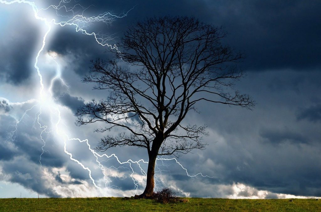 tree, storm, sky-164025.jpg