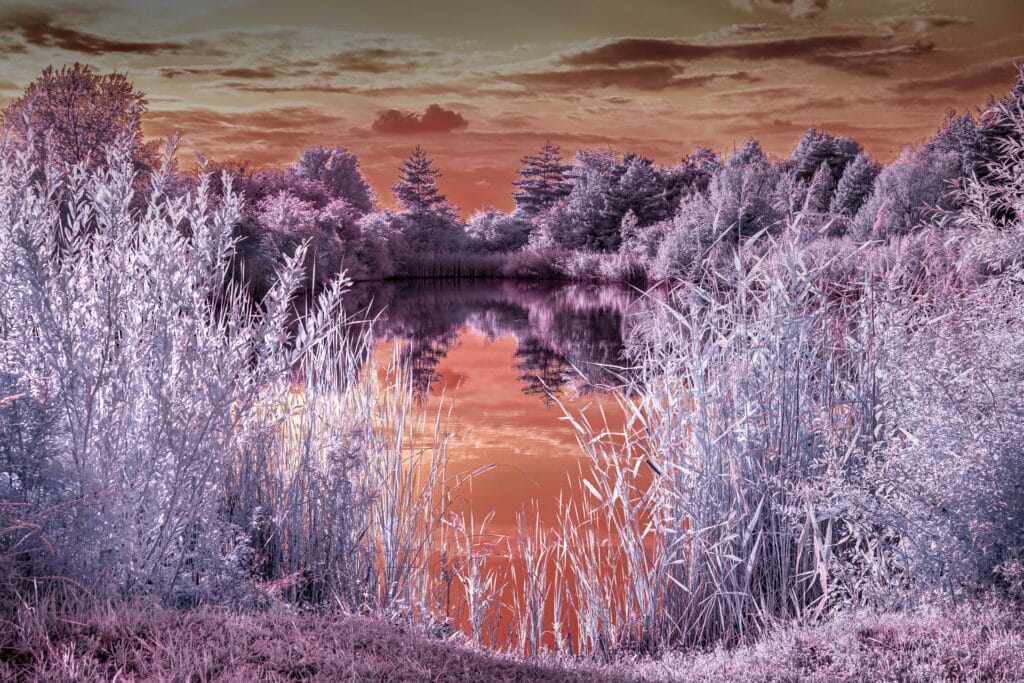 INFRARED PHOTOGRAPHY