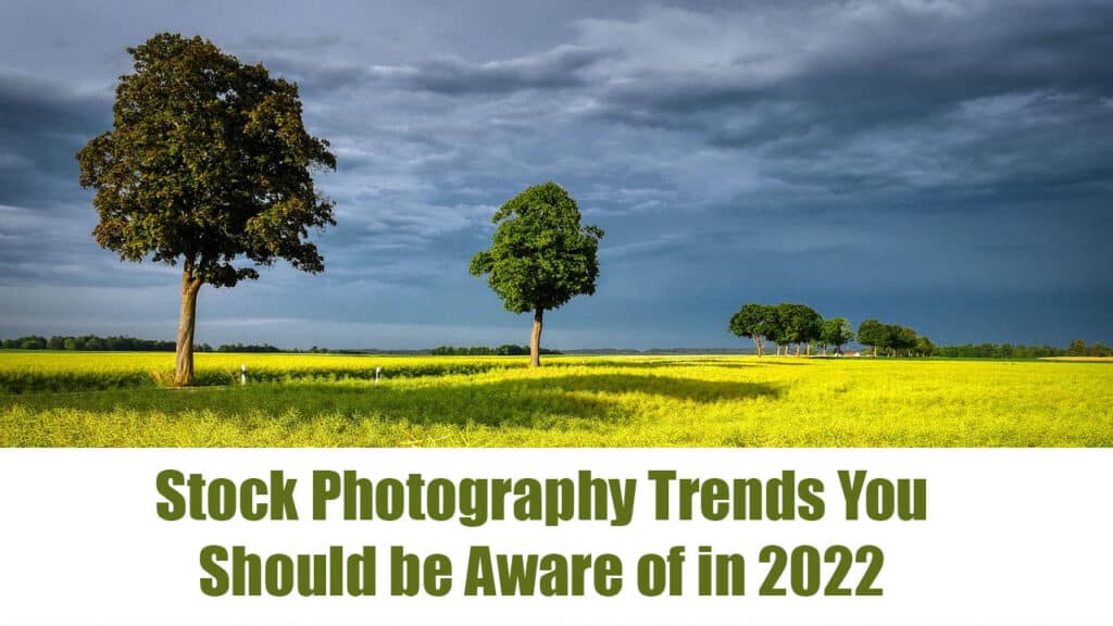 Stock Photography Trends You Should be Aware of in 2022