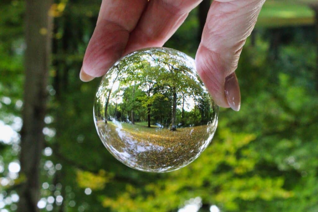 lensball, glass sphere, forest-6776405.jpg