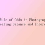 The Rule of Odds in Photography: Creating Balance and Interest
