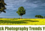 Stock Photography Trends You Should be Aware of in 2022
