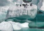 penguins, iceberg, sea_picfixs