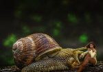 snail, woman, surreal_picfixs
